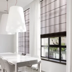 Cortina ROMANA zebra en lima